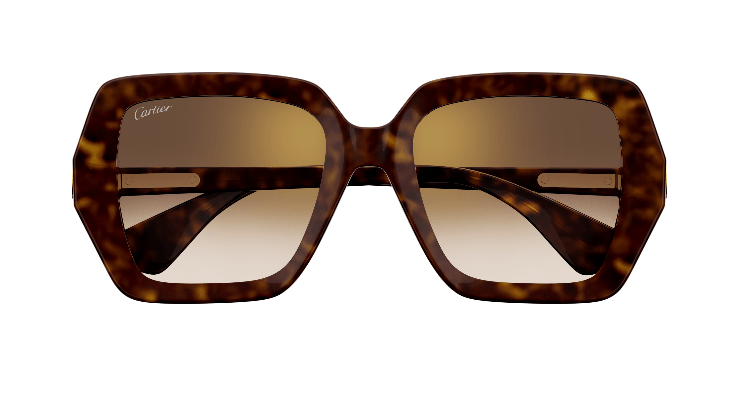 Cartier CT0507S
