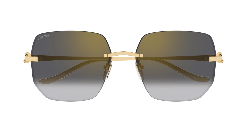 Cartier CT0549S