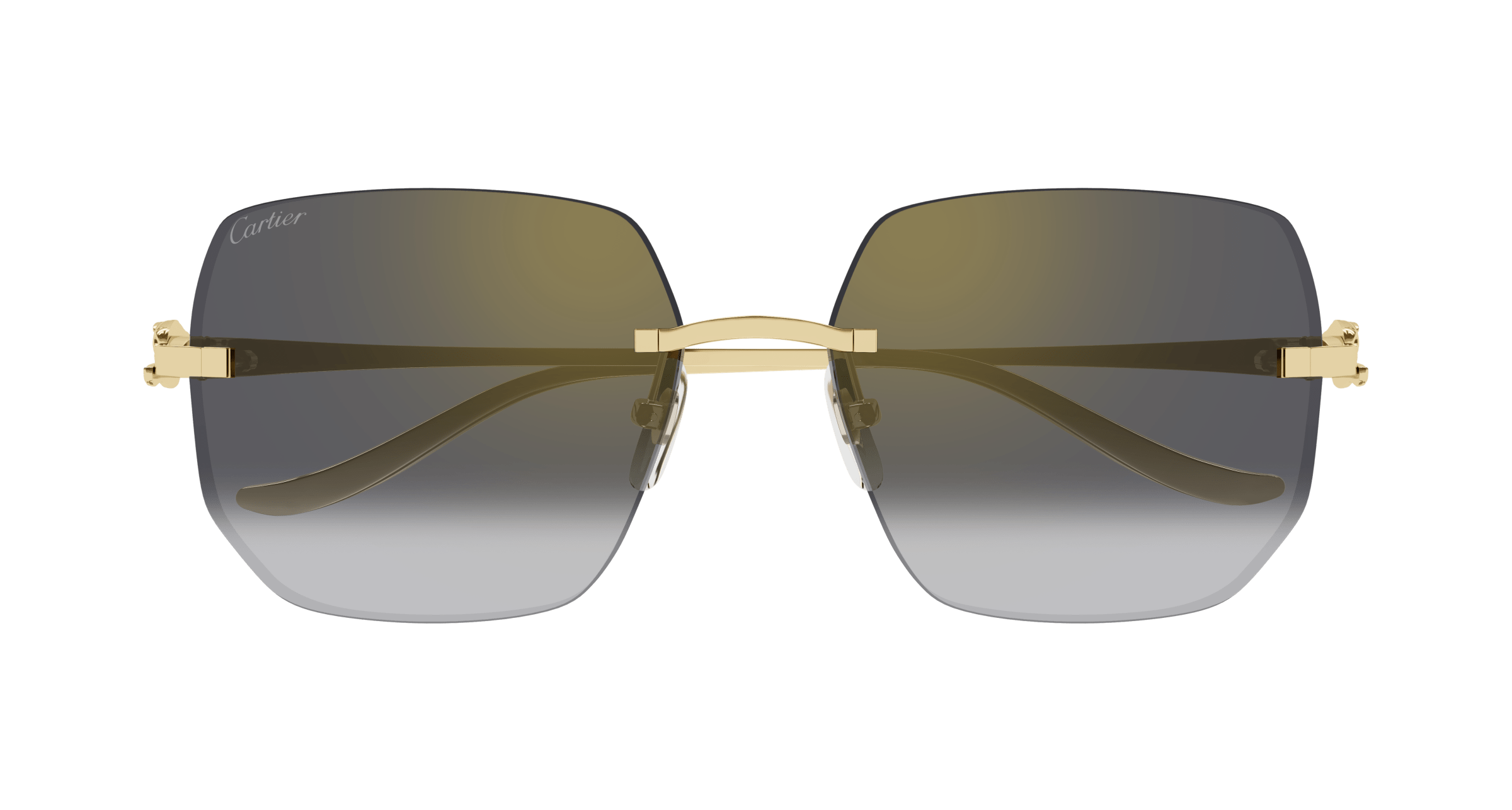 Cartier CT0549S