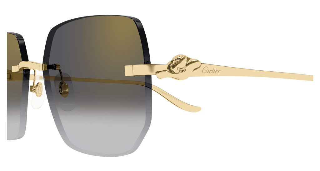 Cartier CT0549S