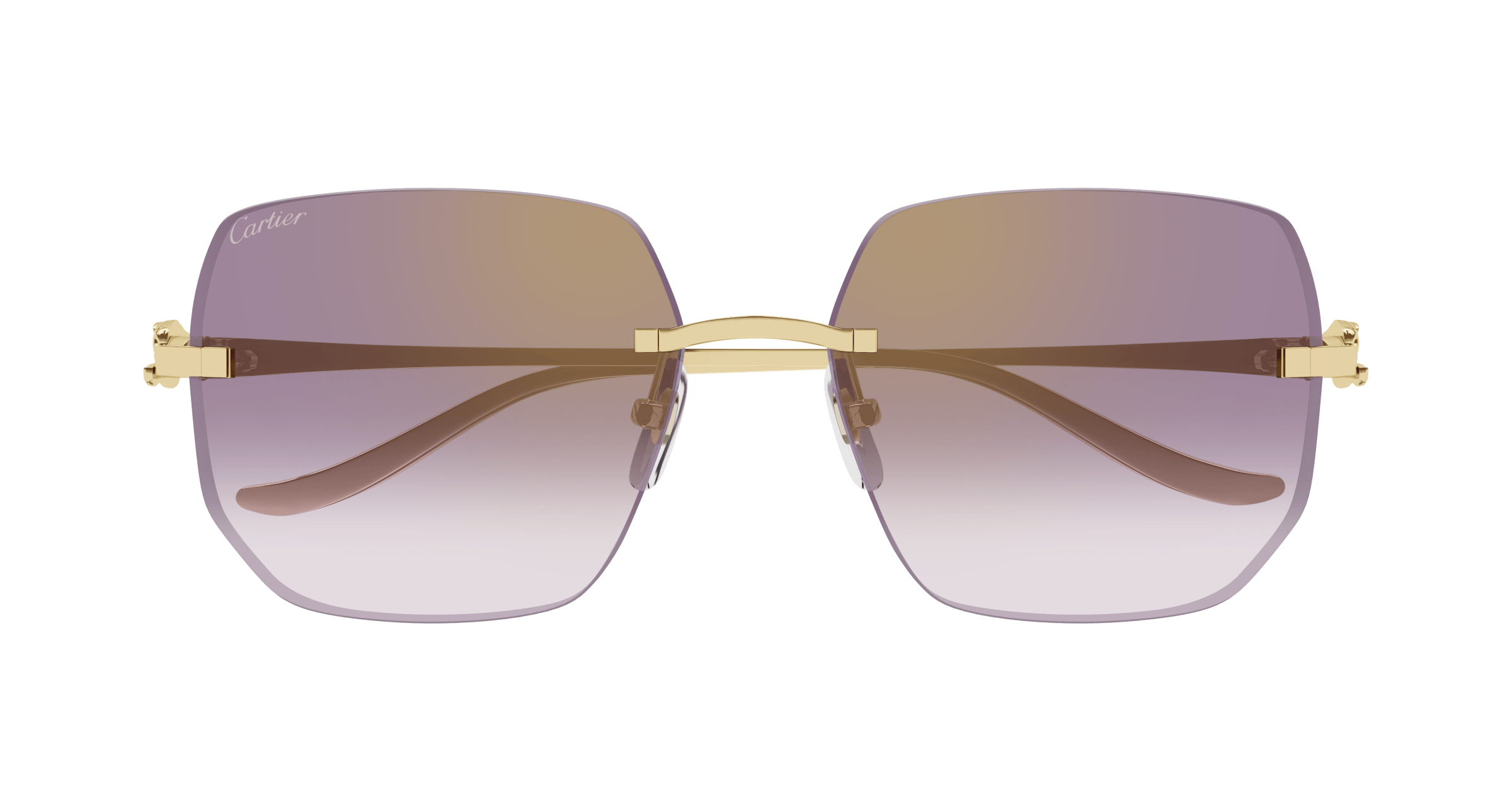 Cartier CT0549S