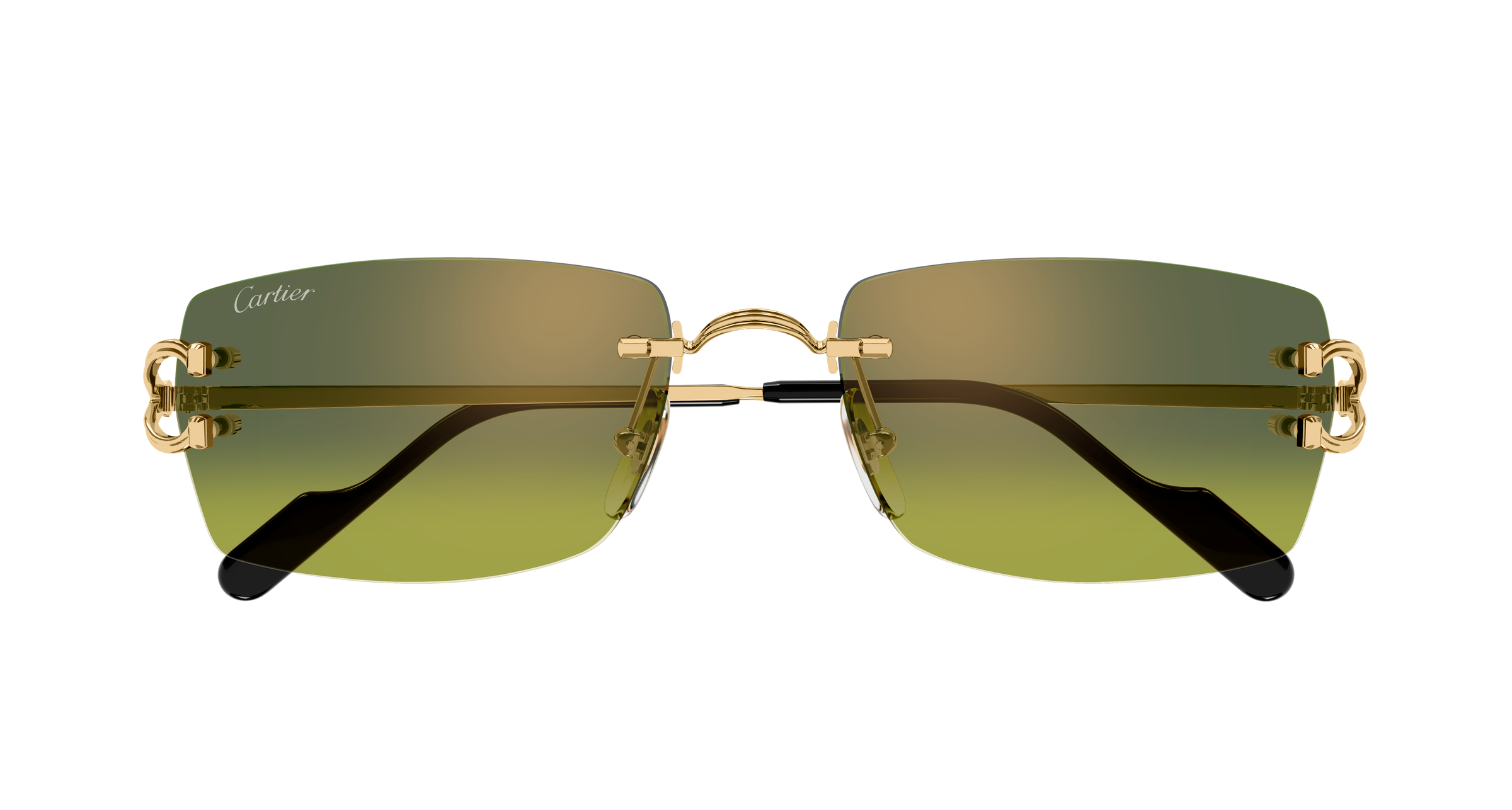 Cartier CT0550S