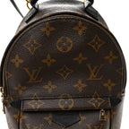 Monogram Palm Springs Backpack Mini