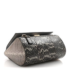 Elaphe Mini Pandora Box Crossbody Bag Beige