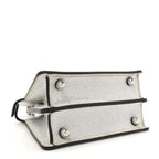 Crystal Vitello Laminato FF Petite Peekaboo I SEE U Satchel Crystal Argento