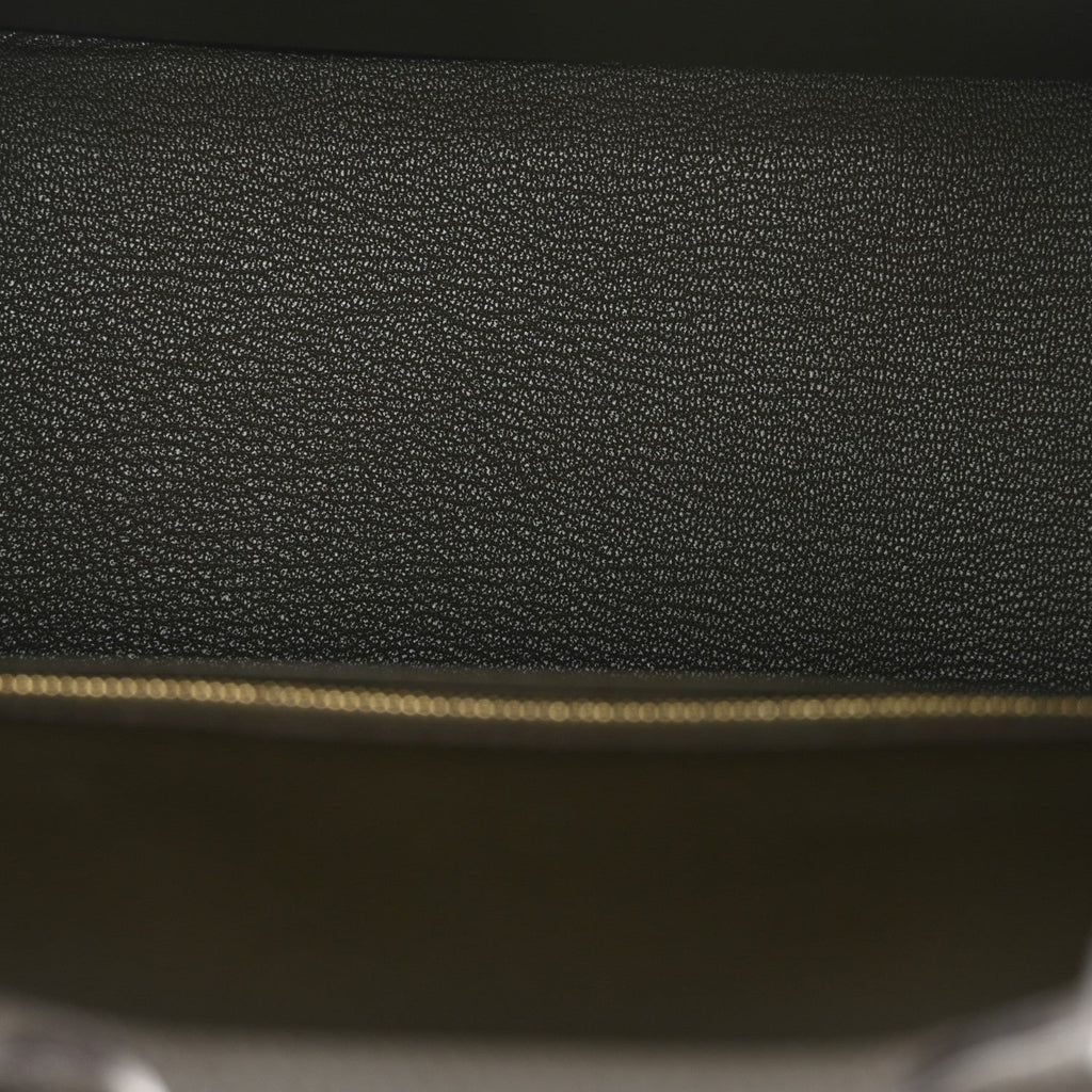 Togo Birkin 25 Eucalyptus