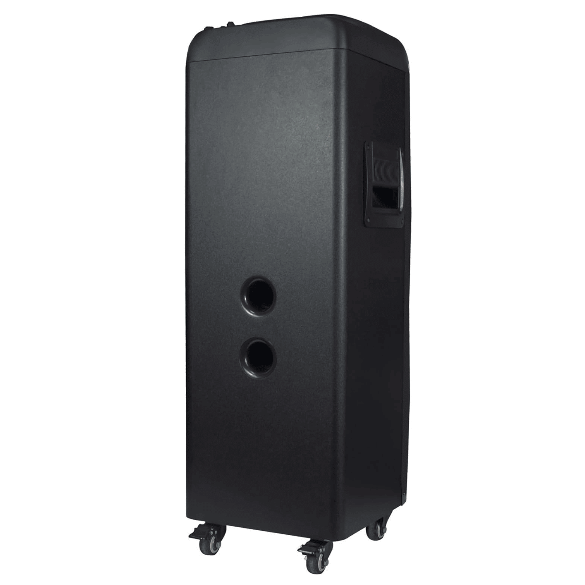 TorusFLEX 2x10-Inch Portable Bluetooth DJ Speaker