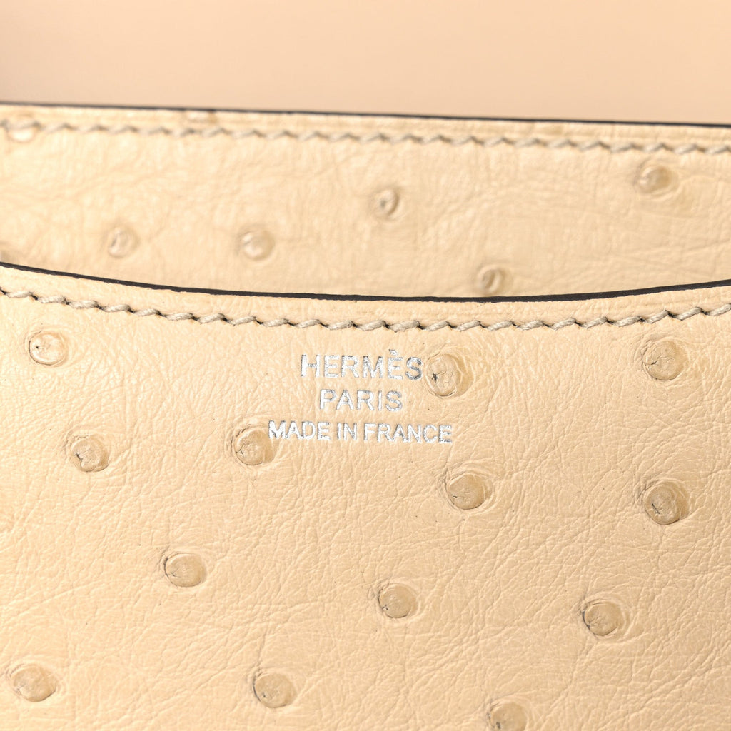 Ostrich Constance 18 Parchemin