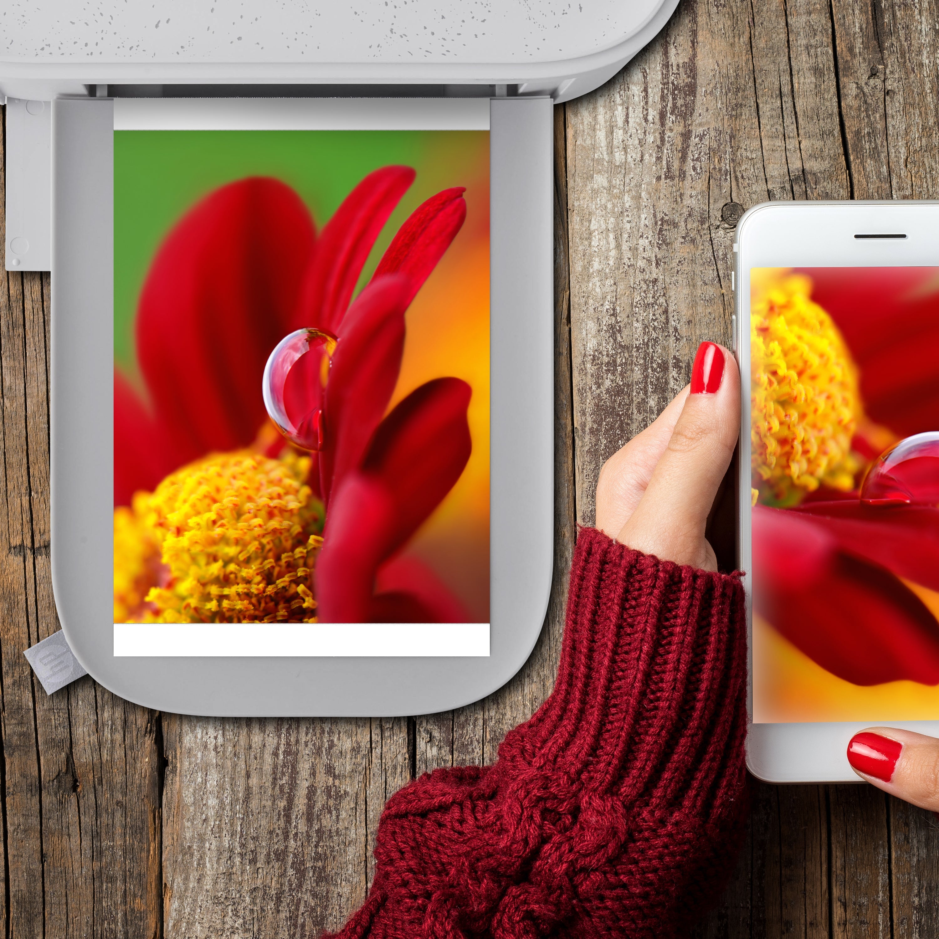 HP Sprocket Studio Plus 4 x 6” Photo Paper and Cartridges (Includes 108 Sheets and 2 Cartridges)