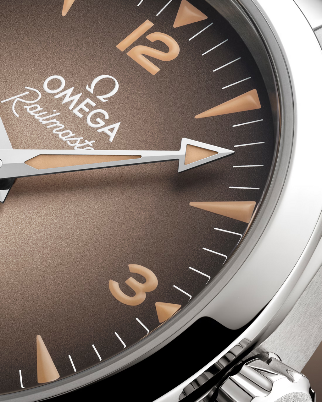 Seamaster Railmaster | 38mm, Stainless Steel, Brown Dial