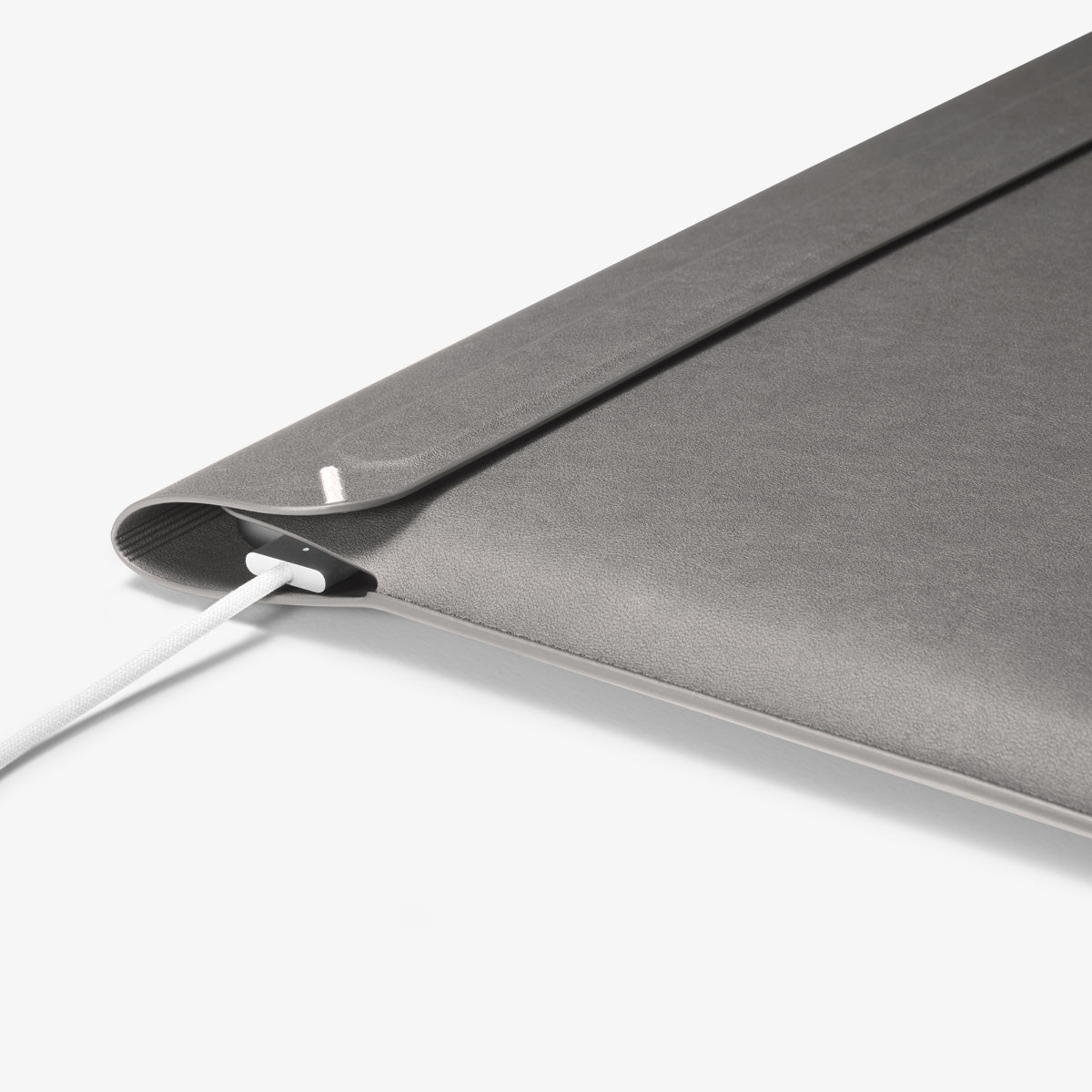 Valentinus S Laptop Pouch