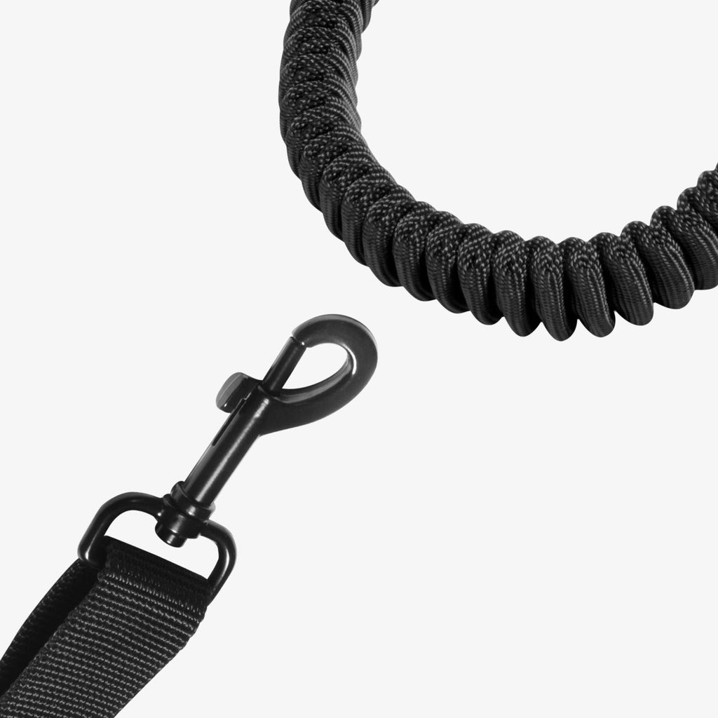 Pet Car Seatbelt Tether | PS100