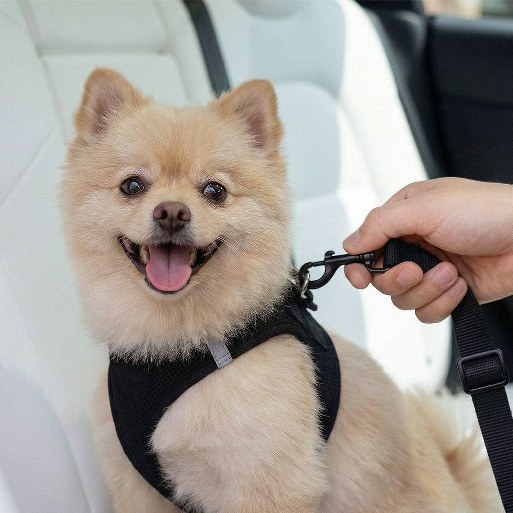 Pet Car Seatbelt Tether | PS100