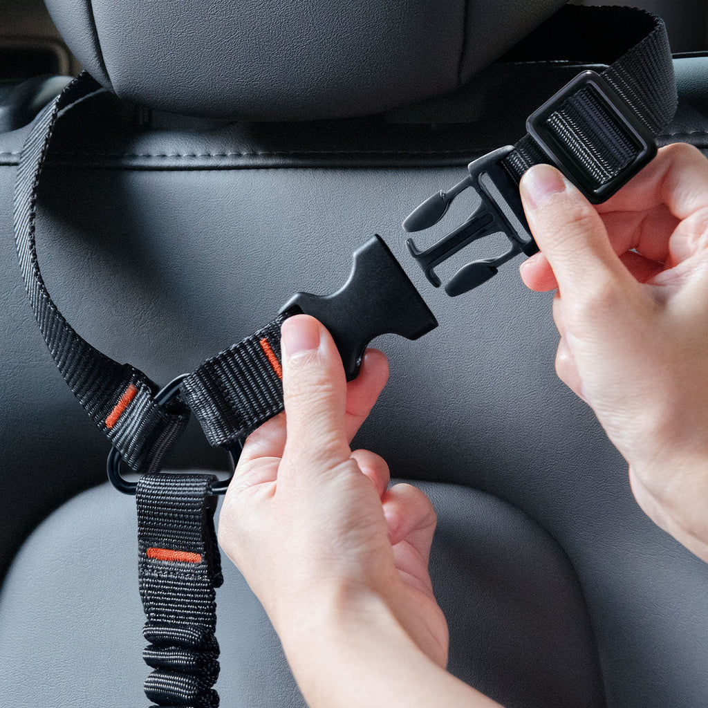 Pet Car Seatbelt Tether | PS100