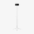 Tripod Selfie Stick | S541W