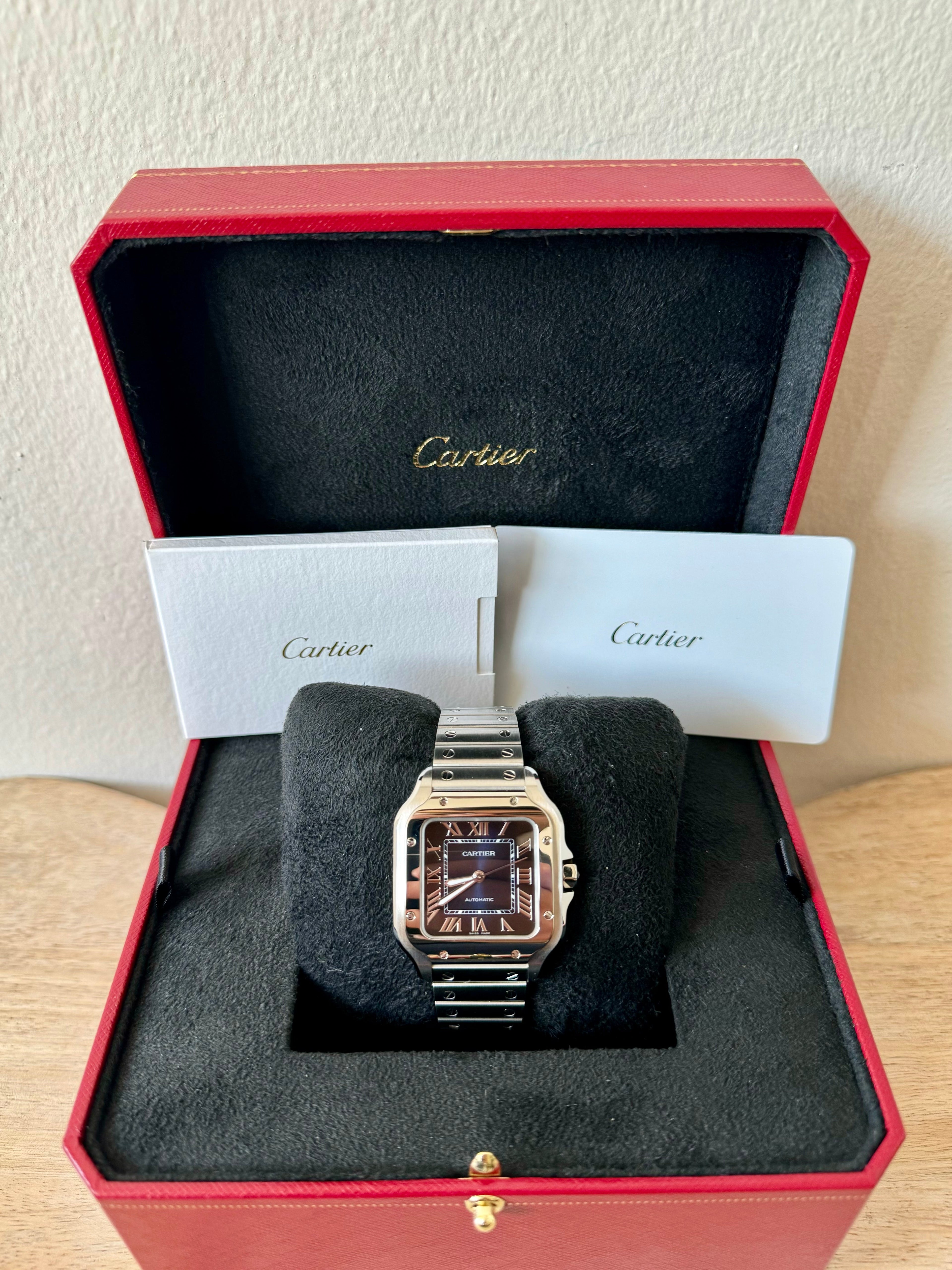 Cartier Santos De Cartier WSSA0063 Blue Dial Medium - 2025