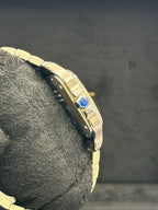 Cartier Santos De Cartier WSSA0071 Blue Dial Large - 2025