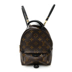 Monogram Palm Springs Backpack Mini