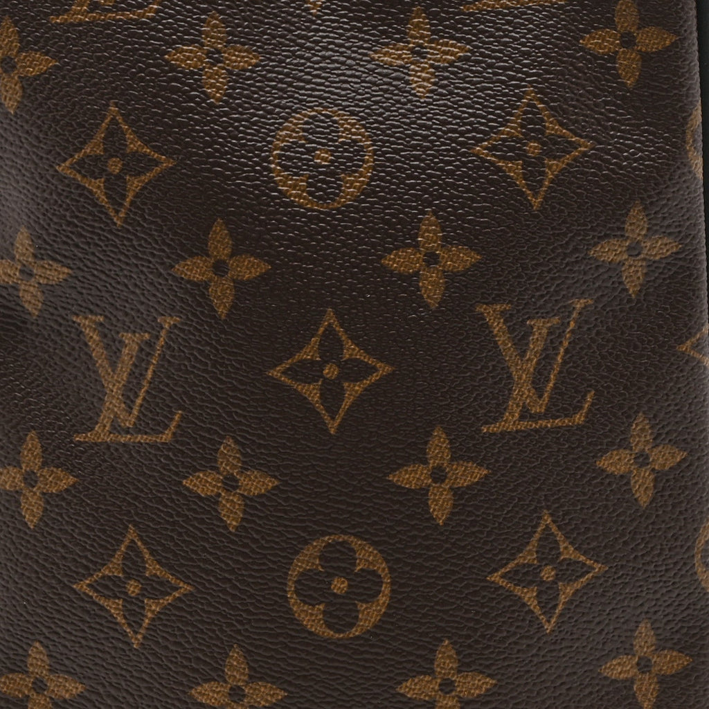Monogram Solar Ray Utility Harness Bag