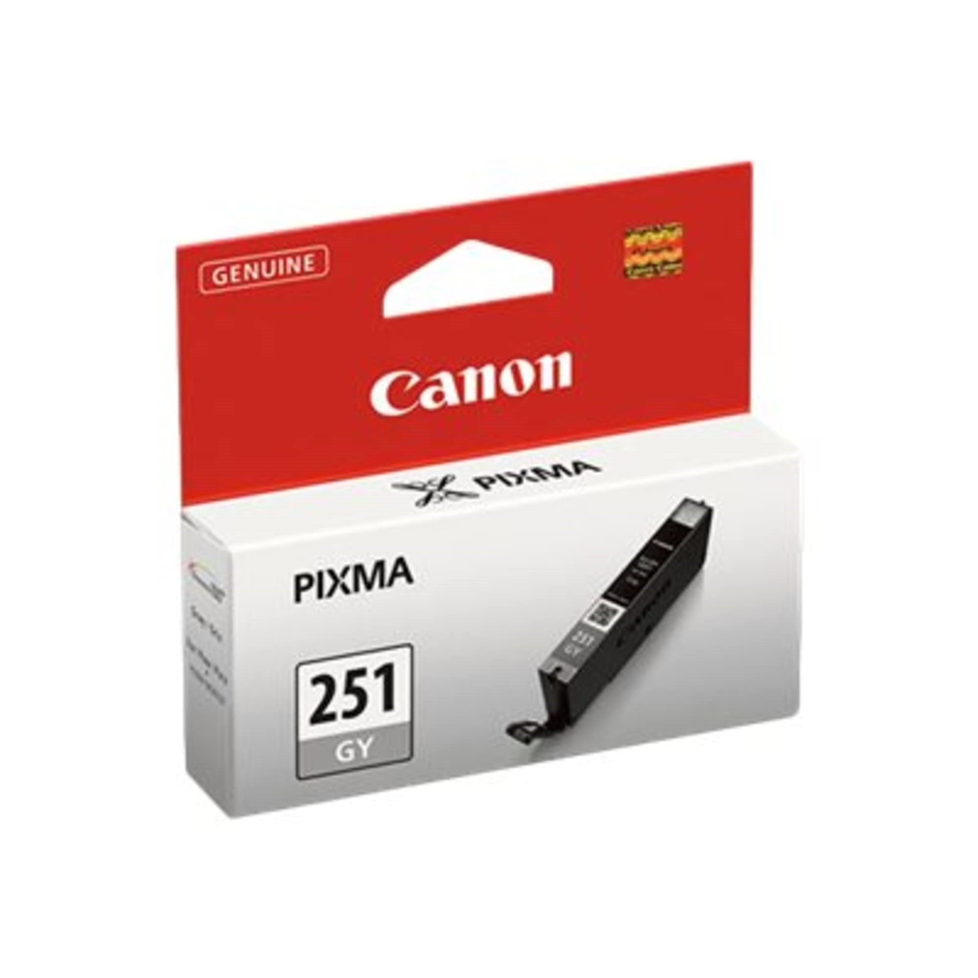 Canon CLI-251 GY Original Gray Ink