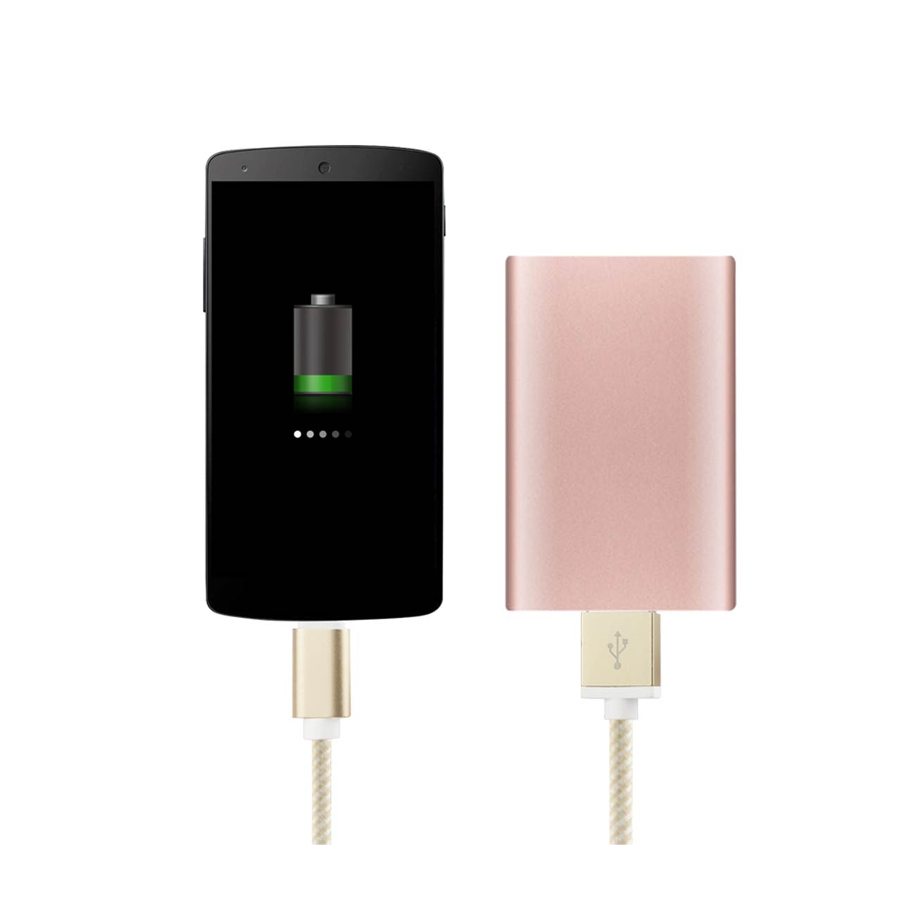 Reiko 3.3Ft Nylon Braided Micro Usb 2.0 Charging & Sync Data Cable For Type C Device In Gold