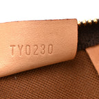 Monogram Nano Speedy