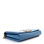 Crocodile Twist Chain Wallet Bleuet