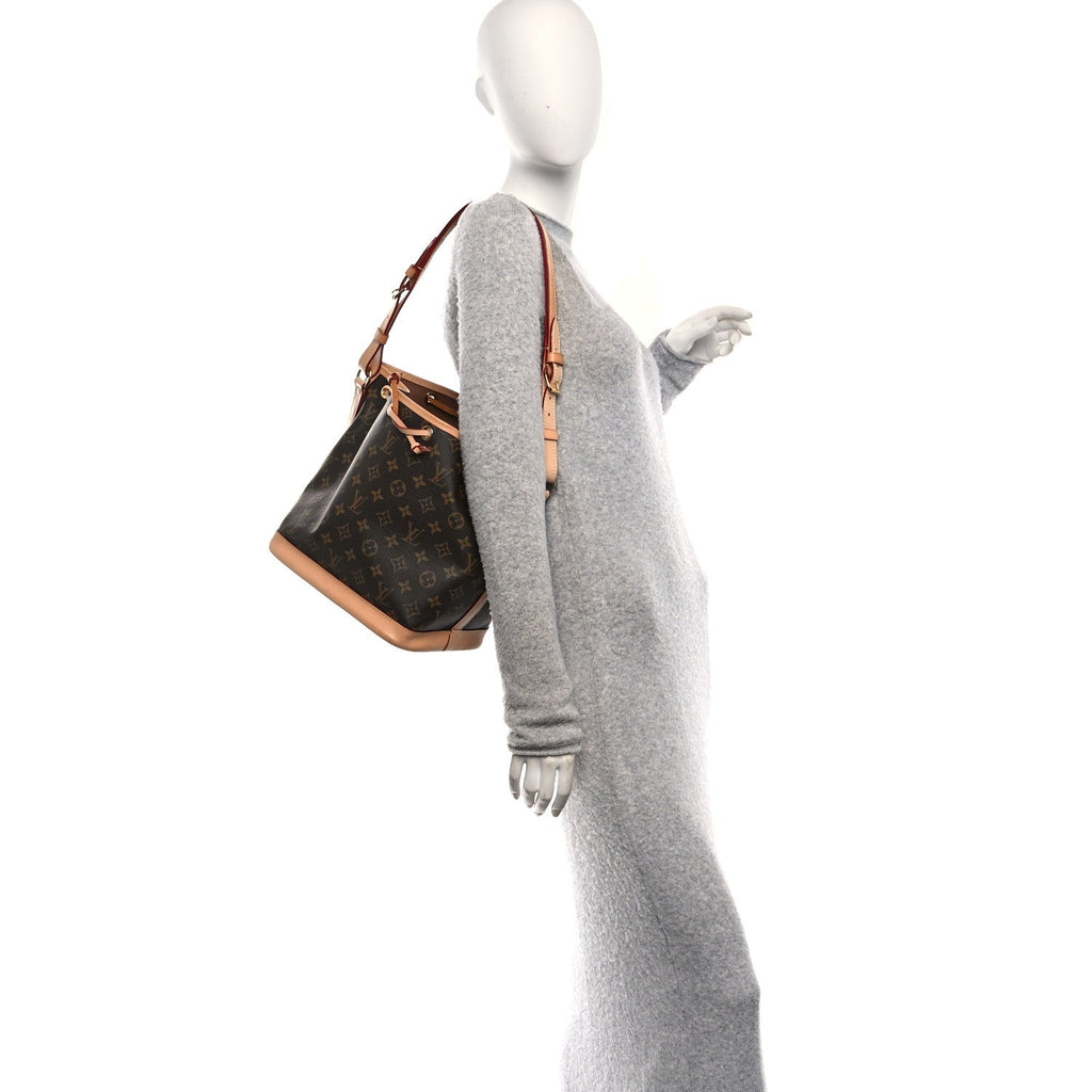Monogram Petit Noe NM