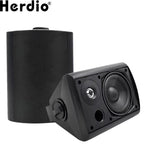 5.25-Inch 300W Indoor/Outdoor Waterproof Dual Speaker System for Home Theater Wall Mount - Black