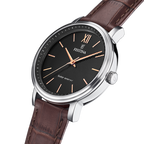 Festina Solar Energy Men's Brown Watch