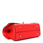 Calfskin Star Quilted Mini Shark Lock Satchel Medium Red