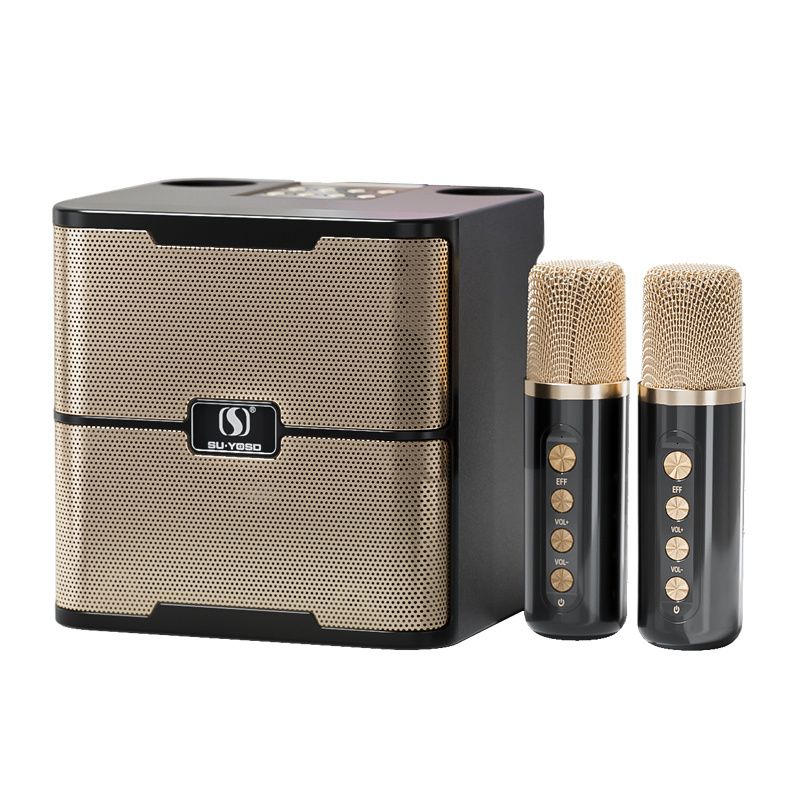 Family Karaoke Audio Set Wireless Microphone BT Speaker For Children's Outdoor Party