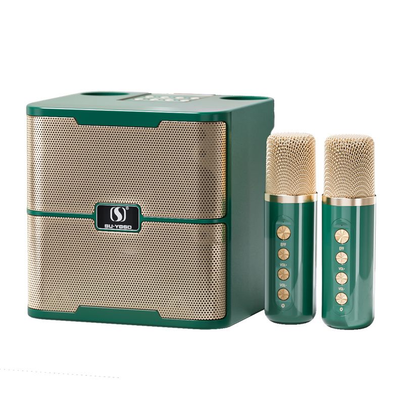 Family Karaoke Audio Set Wireless Microphone BT Speaker For Children's Outdoor Party