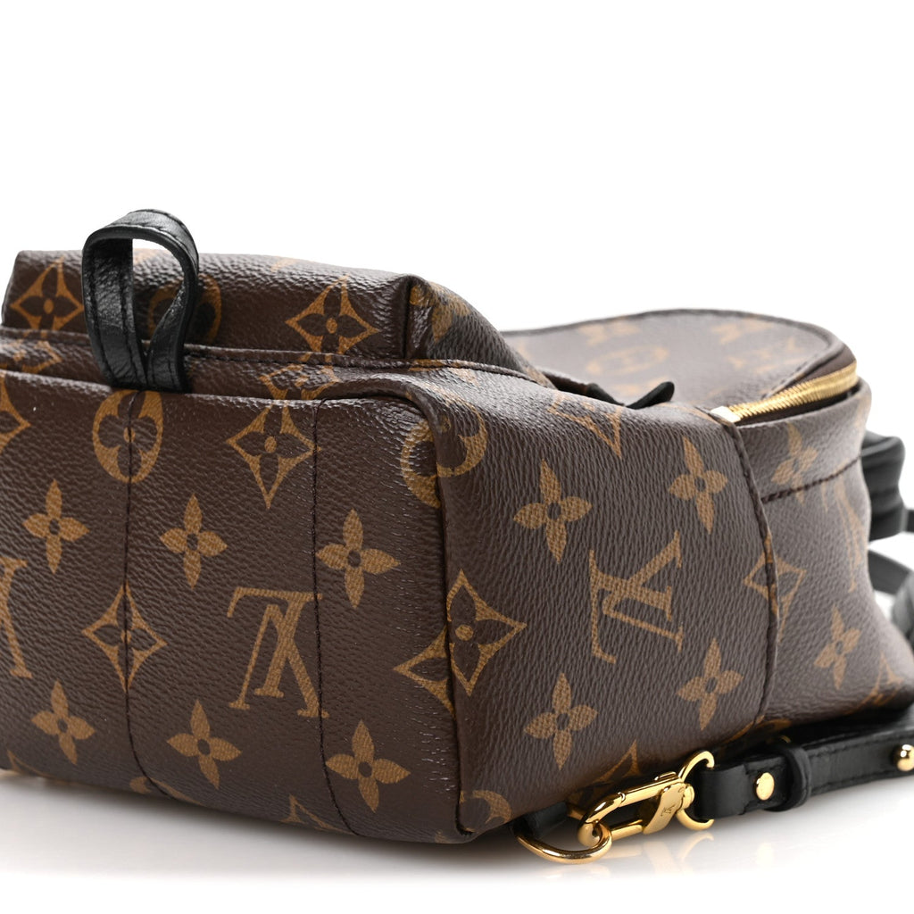 Monogram Palm Springs Backpack Mini