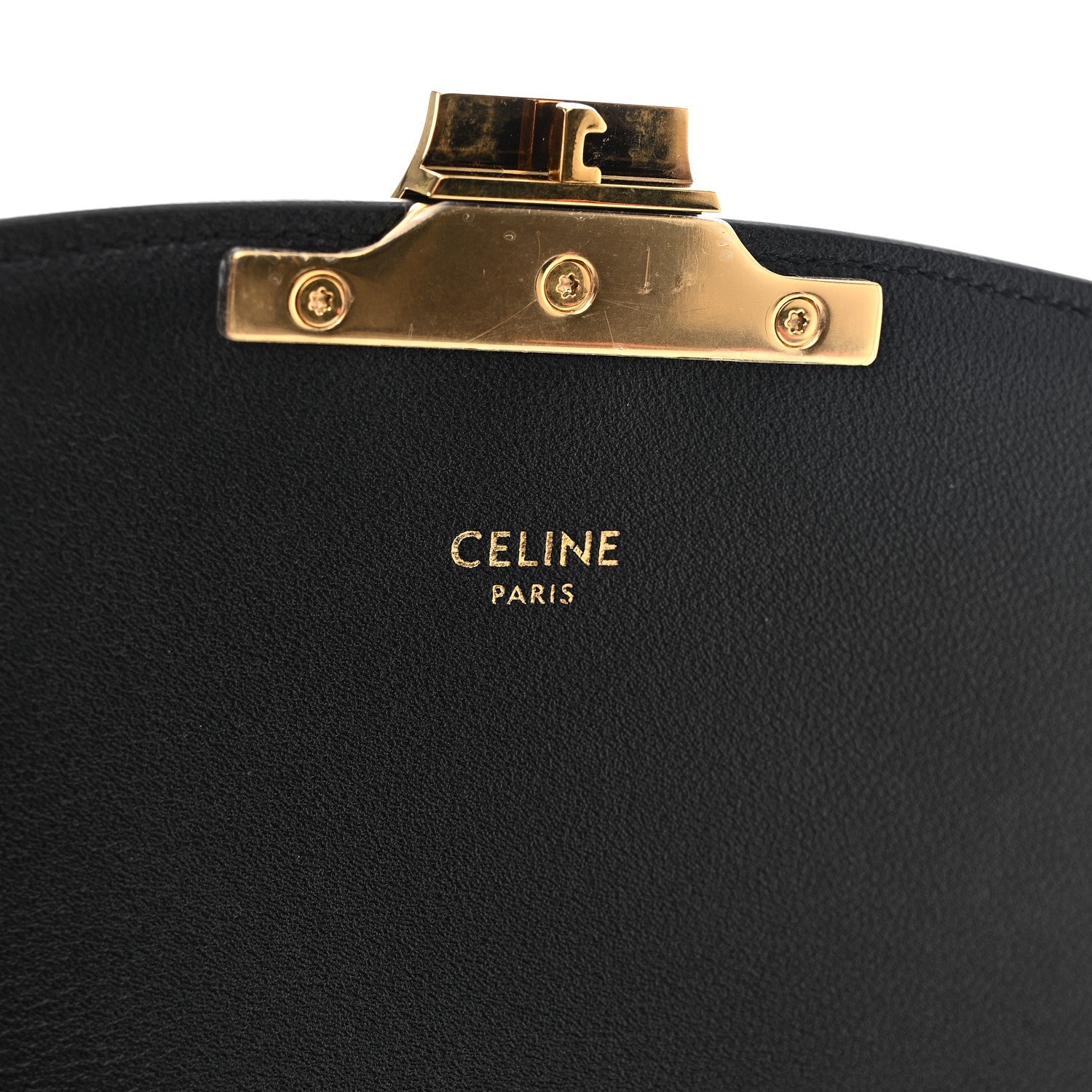 Velvet Calfskin Leopard Print Teen Triomphe Bag Brown Black