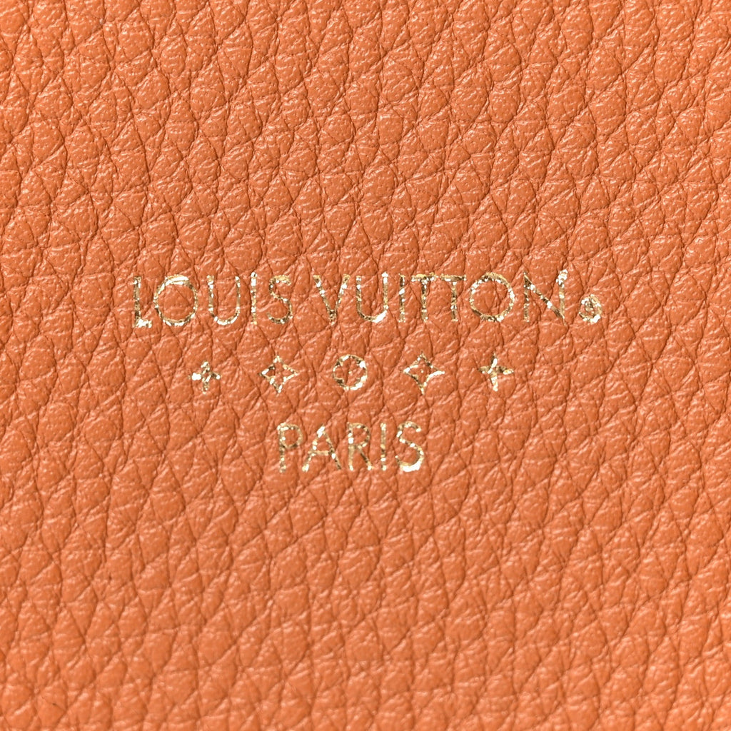 Grained Calfskin LV Pont 9 Soft MM Golden Siena