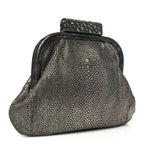 Stingray Degrade Frame Clutch Silver