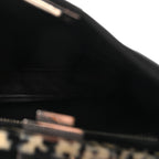 Vitello Dolce Shiny Nappa Plexglass Granite Medium Peekaboo Iconic Satchel Black