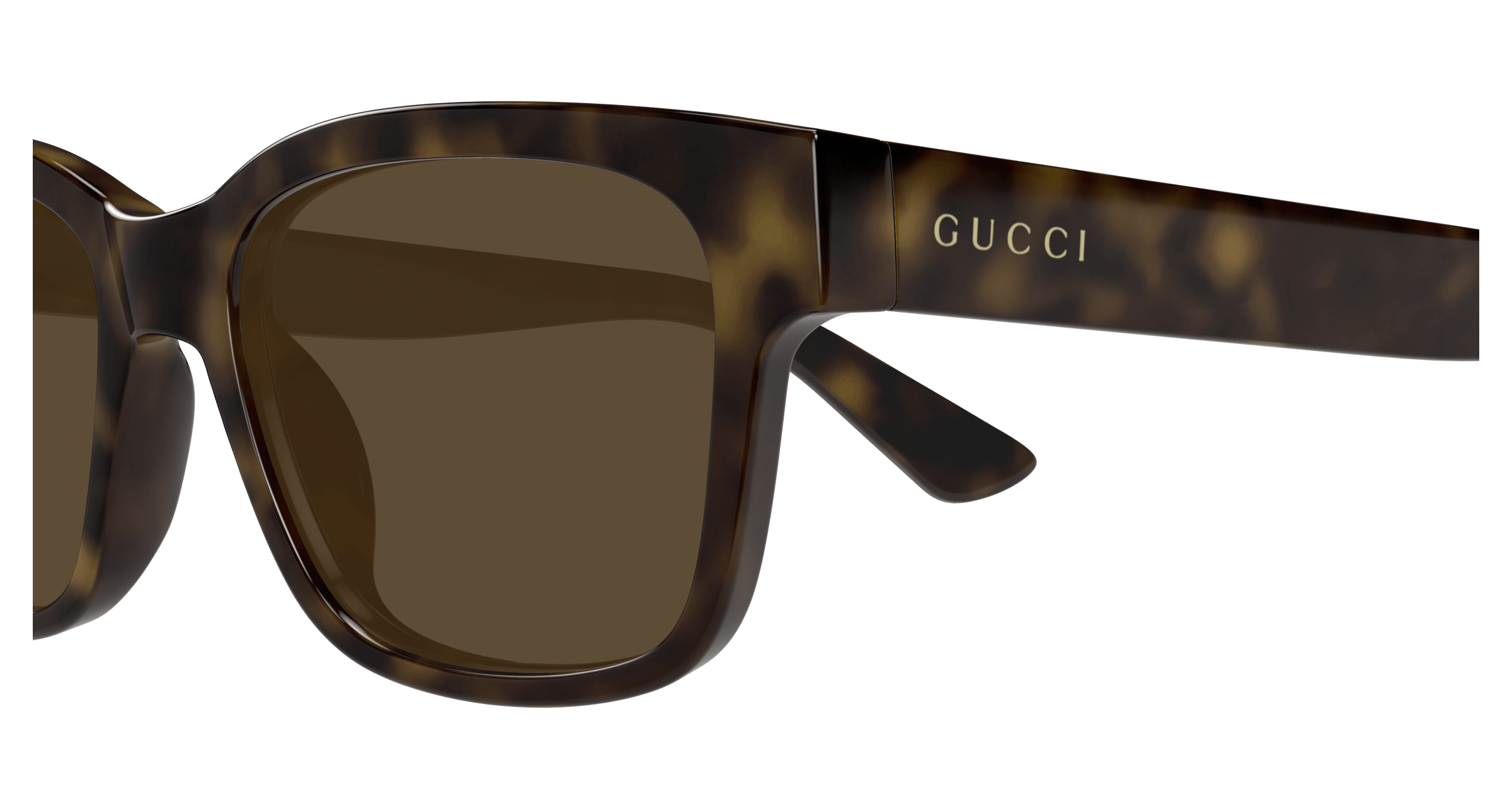 Gucci GG1716S