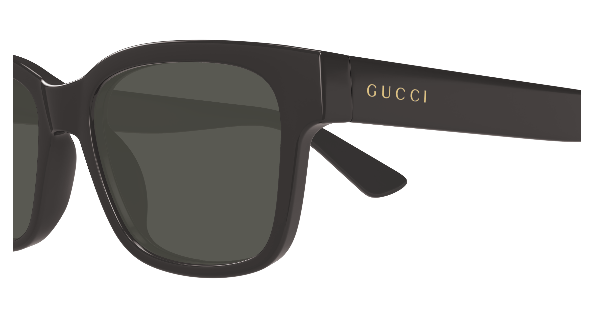 Gucci GG1716S