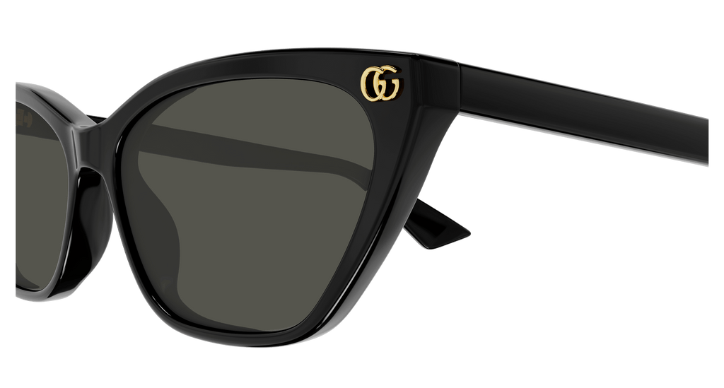 Gucci GG1815S