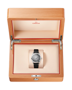 Seamaster Railmaster