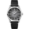 Seamaster Railmaster