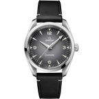 Seamaster Railmaster