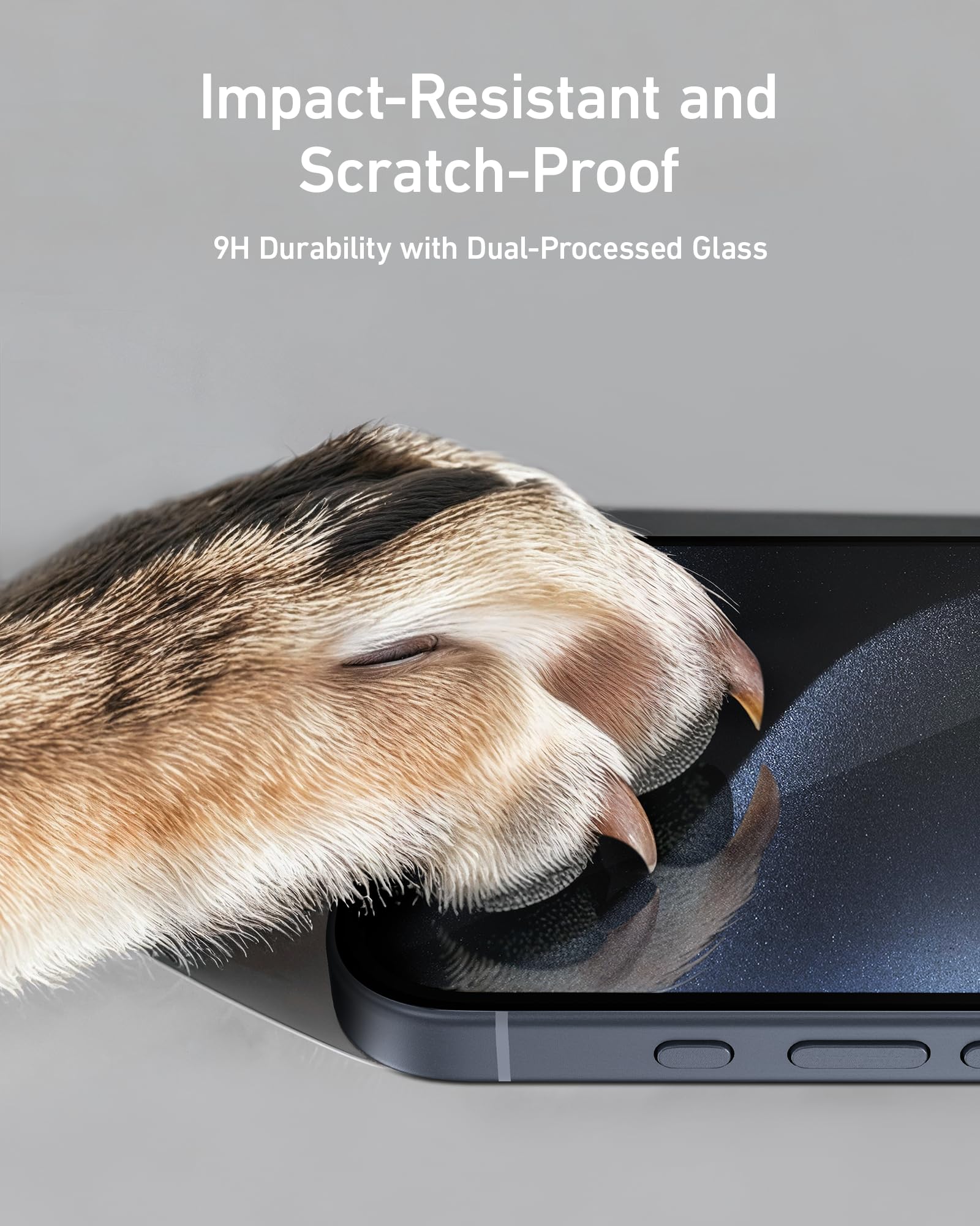 Anker Screen Protector Kit  (Privacy, 2-Pack)