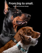 Apple AirTag Series - Tough Armor IP Pet Collar