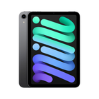 iPad Mini 6th Gen - Wi-fi And Cellular