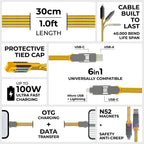 inCharge® XL 30cm / 1ft - 100W, 6in1 travel cable