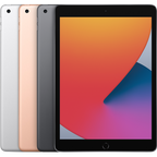 Apple iPad 8th Gen - 10.2" (WiFi + Cellular)