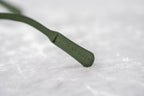 Kris Van Assche Sunglasses Round Green and Flash